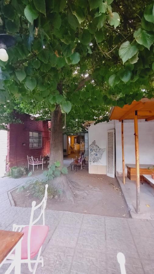 Mora Hostel Мендоса Экстерьер фото